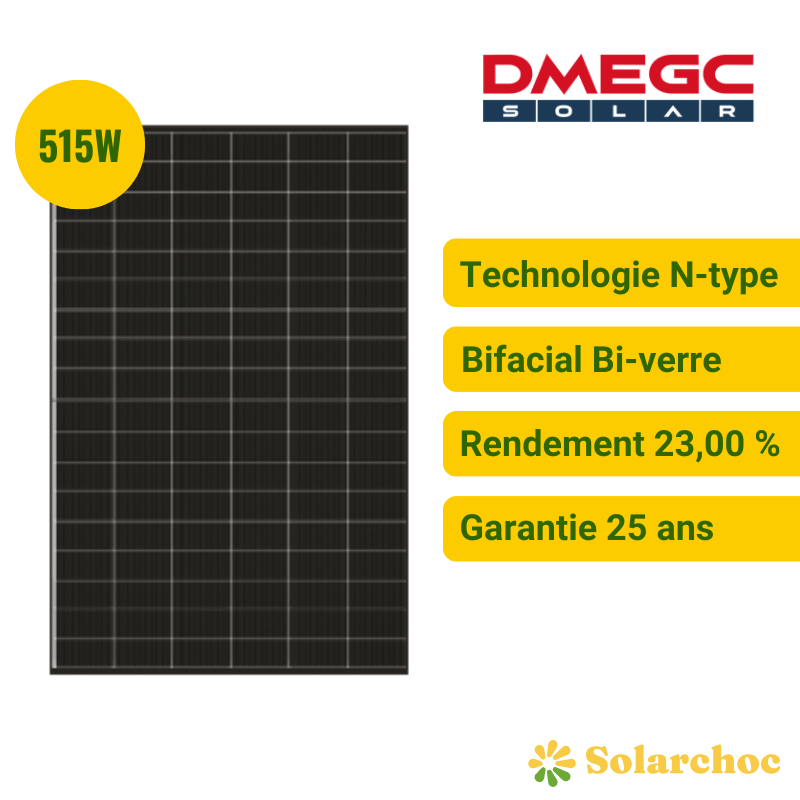 Kit solaire plug and play 1 030 W — 2 panneaux DMEGC 515 W + micro-onduleur 1 000 W Wi-Fi – Image 2