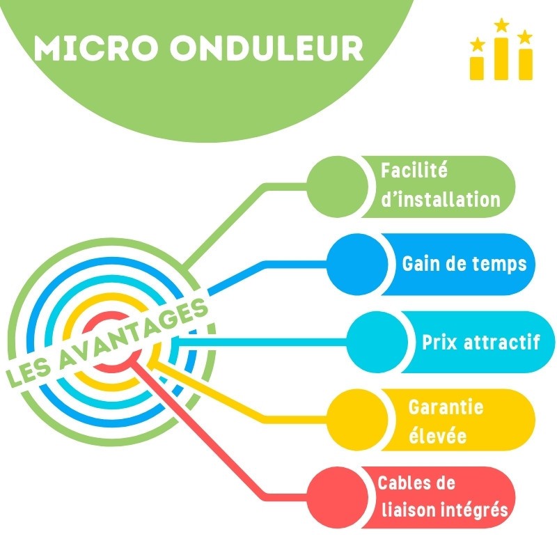 Kit solaire 1000W Plug&Play Autoconsommation 2 panneaux JOLYWOOD 500W + 1 micro onduleur SOLAX 1000W Wifi intégré X1 Tiaré